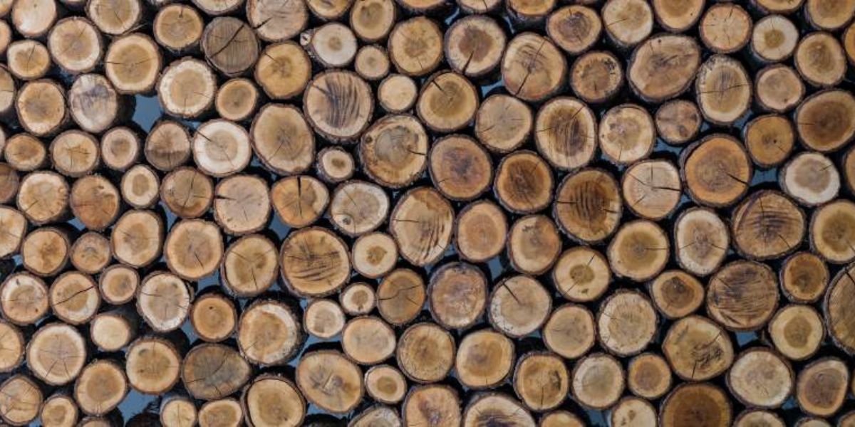 Behang met gekloofde houtblokken zorgt voor een robuuste en industriële uitstraling.