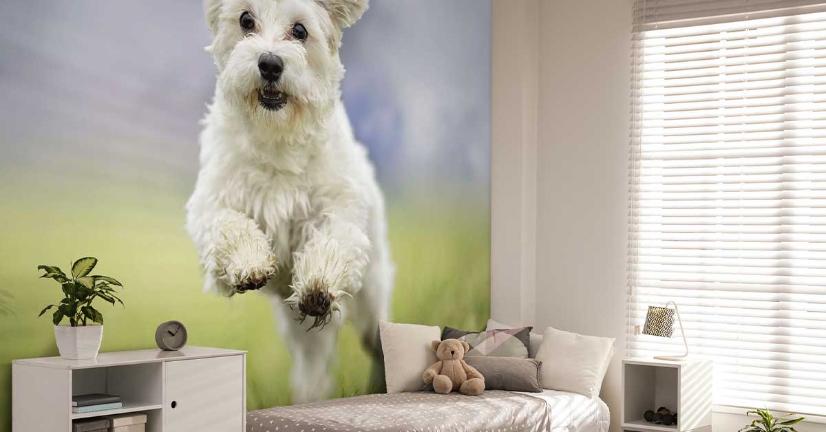 Fotobehang met Honden