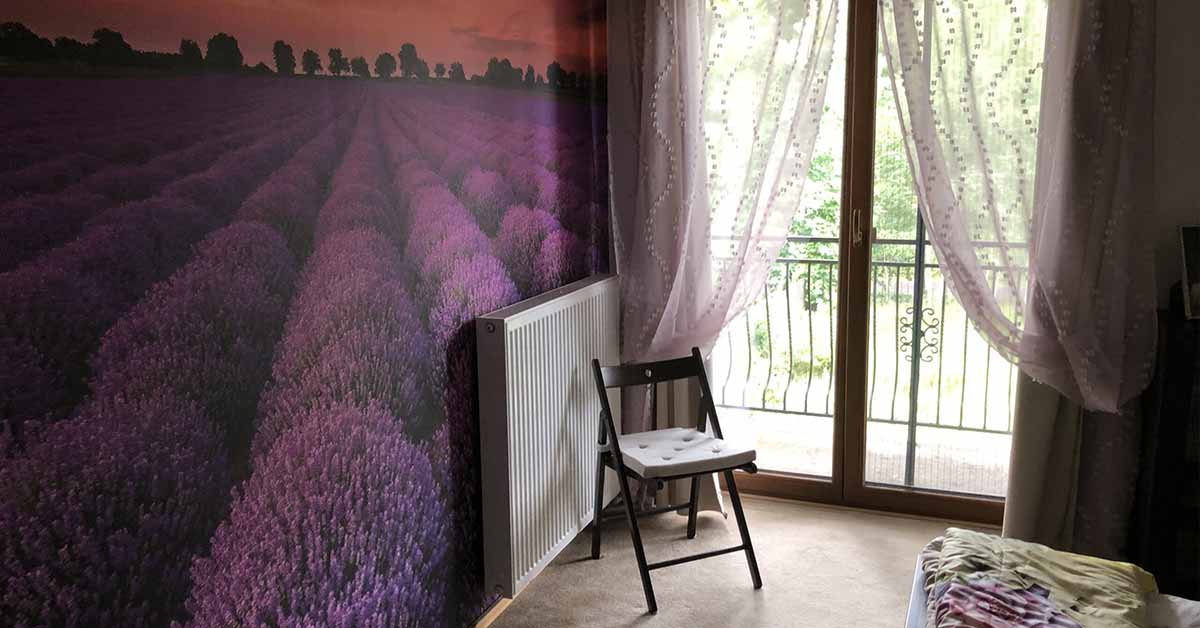 Fotobehang met Lavendel bloemen