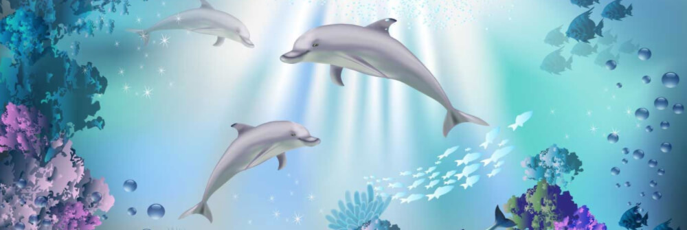 De onderwaterwereld op behang De onderwaterwereld op behang