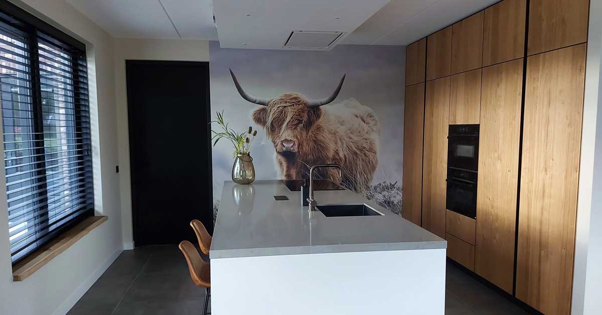 Fotobehang Schotse Hooglanders