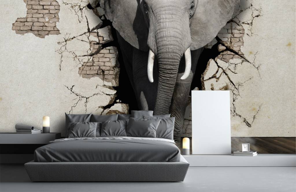 3D Elephant from the wall on photo mural wallpaper 