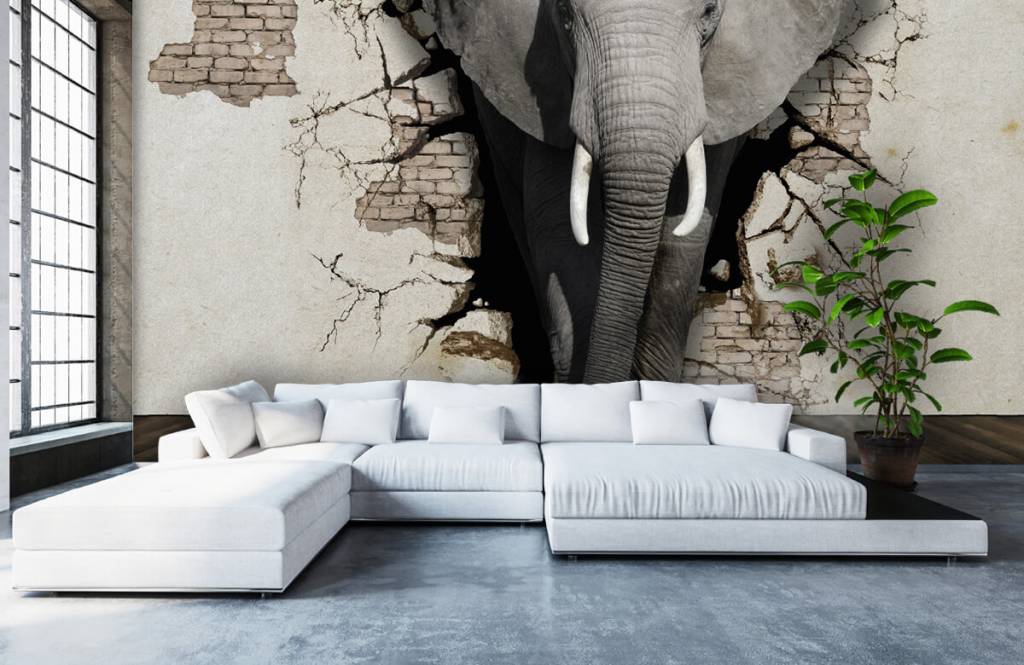 3D Elephant from the wall on photo wallpaper mural