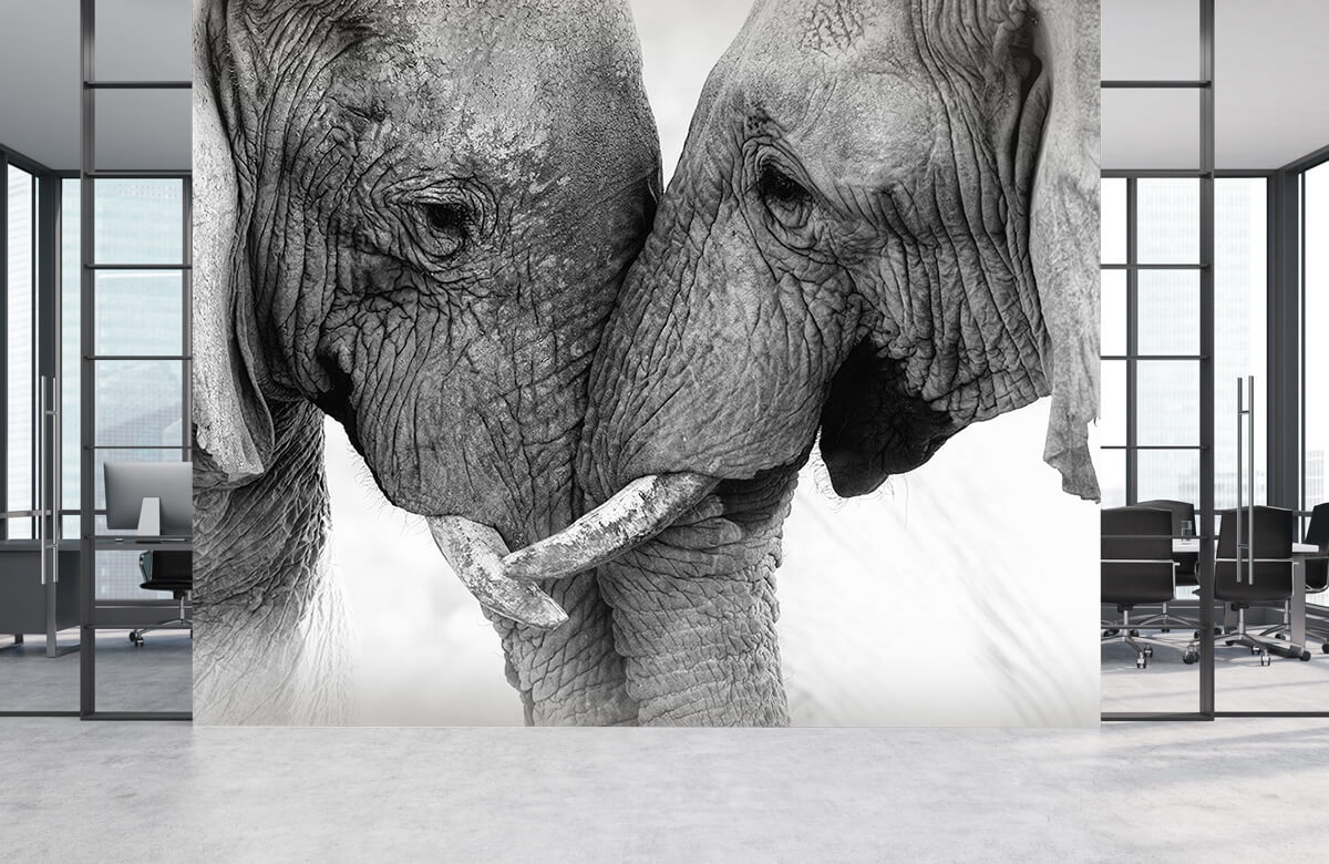 Dieren Fotobehang olifanten 3