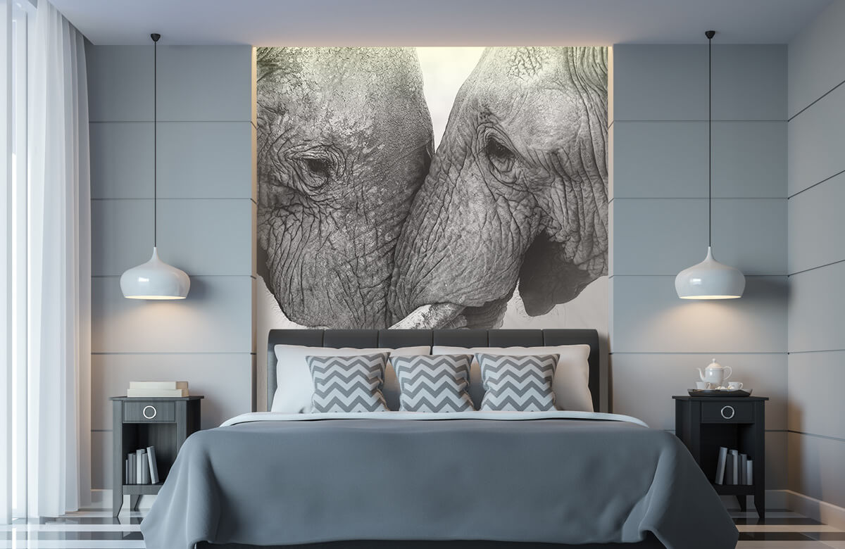 Dieren Fotobehang olifanten 8
