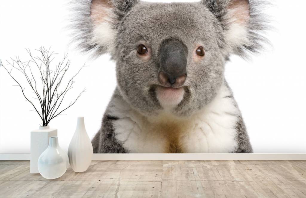 Overige - Foto van een koala - Kinderkamer 8