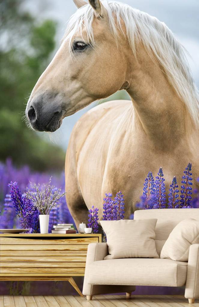 Paarden - Paard tussen de lavendel - Kinderkamer 1