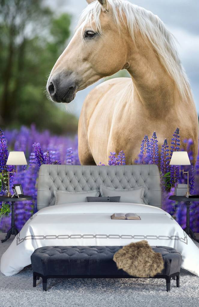 Paarden - Paard tussen de lavendel - Kinderkamer 8