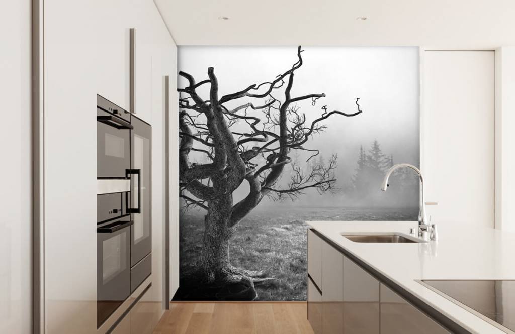 Zwart Wit behang - Sierlijke boom - Slaapkamer 4