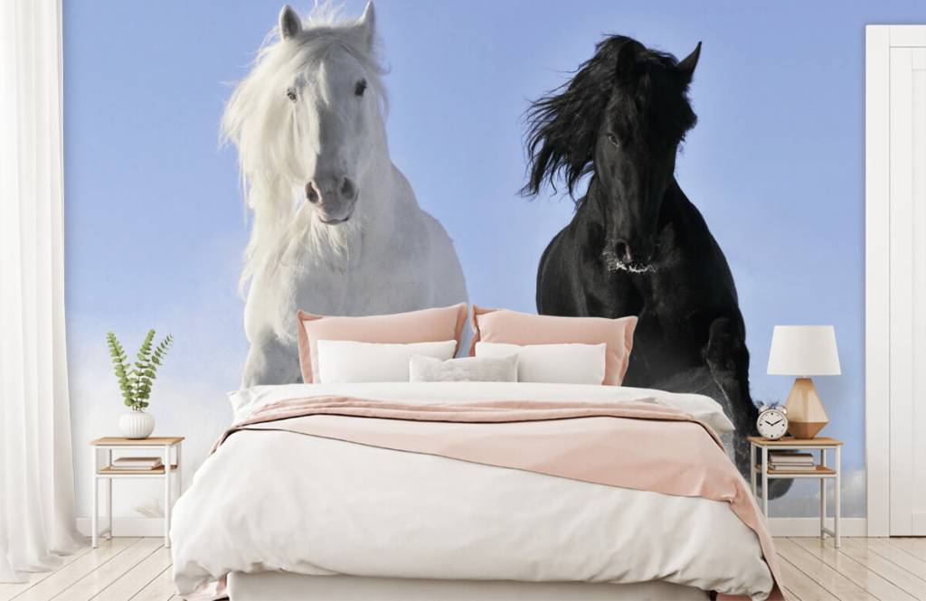 Paarden - Wit en een zwart paard - Tienerkamer 2
