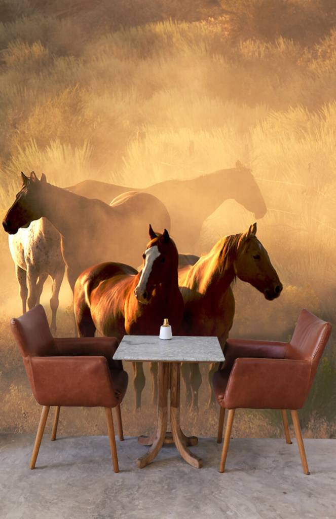 Paarden - Paarden tijdens een zonsondergang - Kinderkamer 2