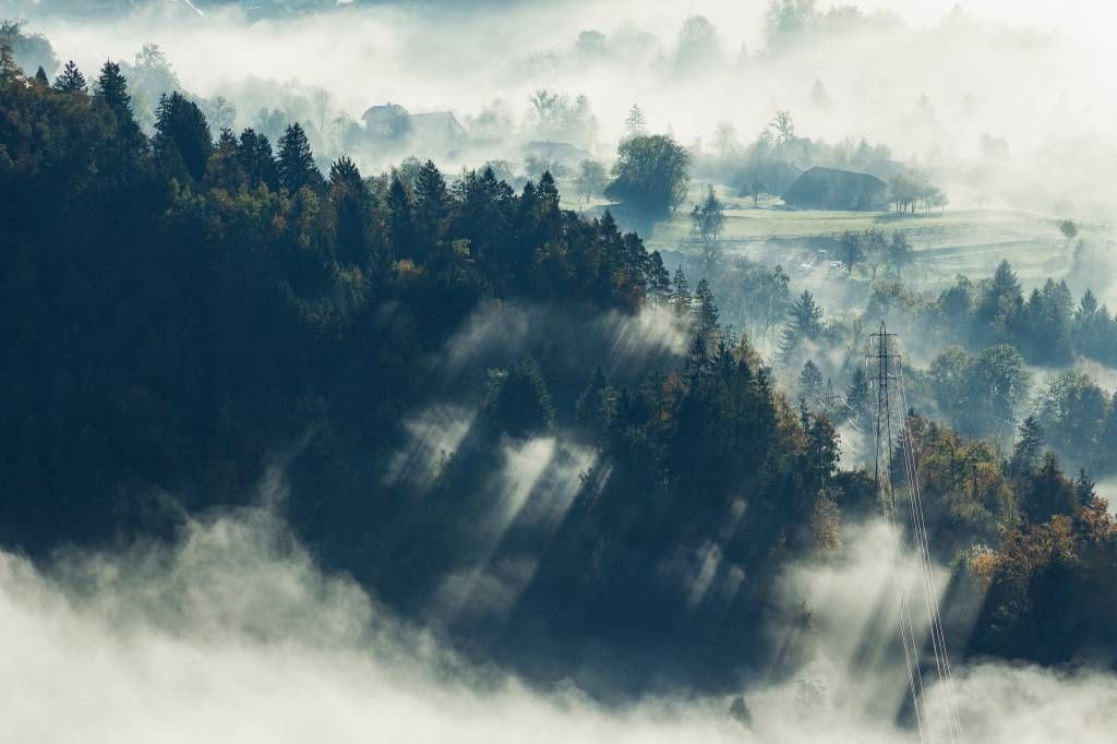 Mistig landschap