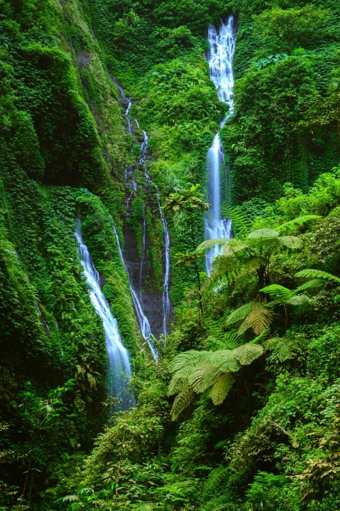 Groene jungle en watervallen