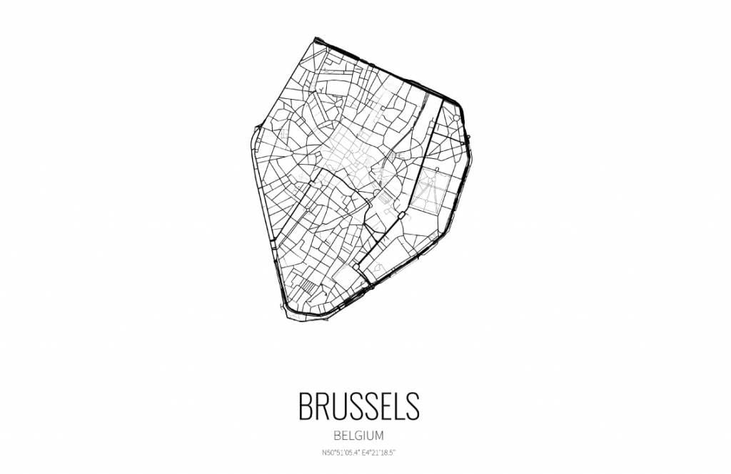 Unieke kaart van Brussel
