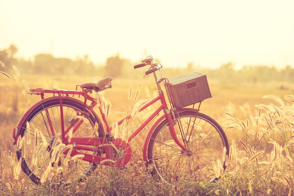 Vereniging venijn Psychologisch Fotobehang met een vintage fiets - Fotobehang