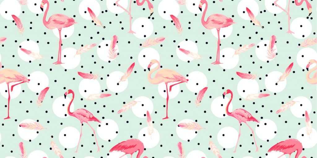 Flamingo's en veren