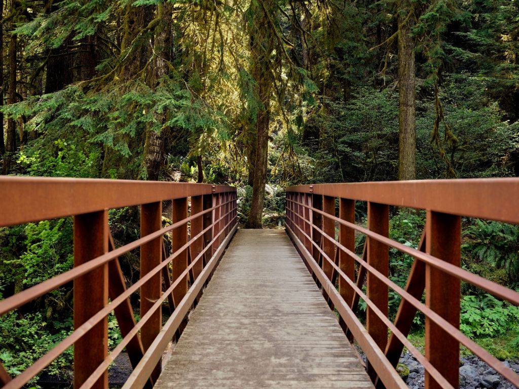 Roestige brug in het bos