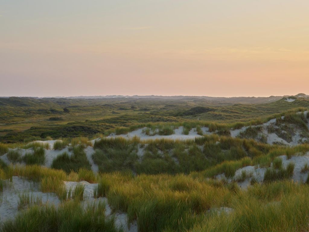 Zonsondergang in de duinen