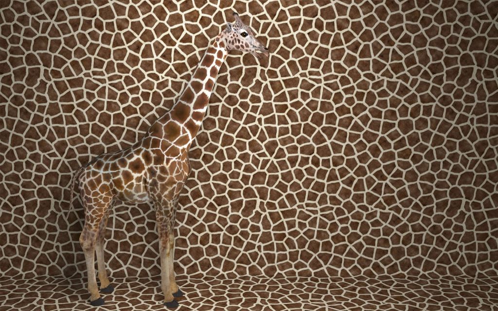 Gecamoufleerde giraffe