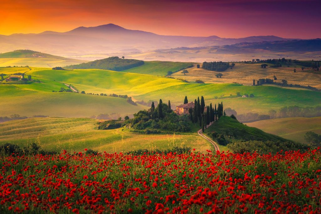 Rode klaprozen met Italiaans landschap