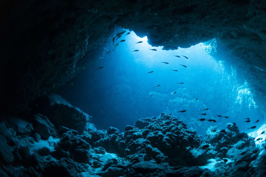 Onderwater grot met vissen