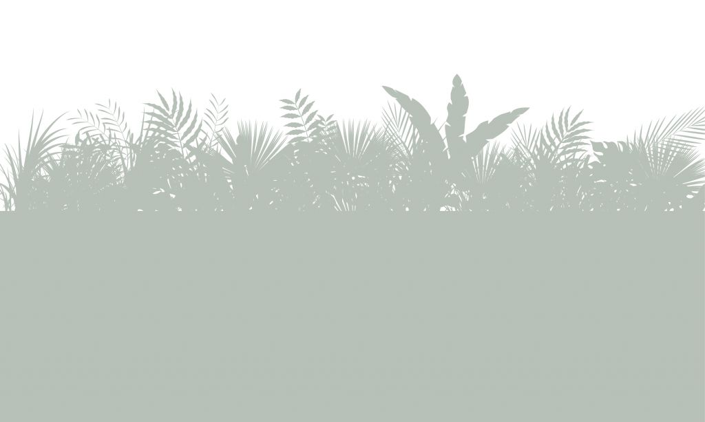 Silhouetten palmbladeren, lichtgroen