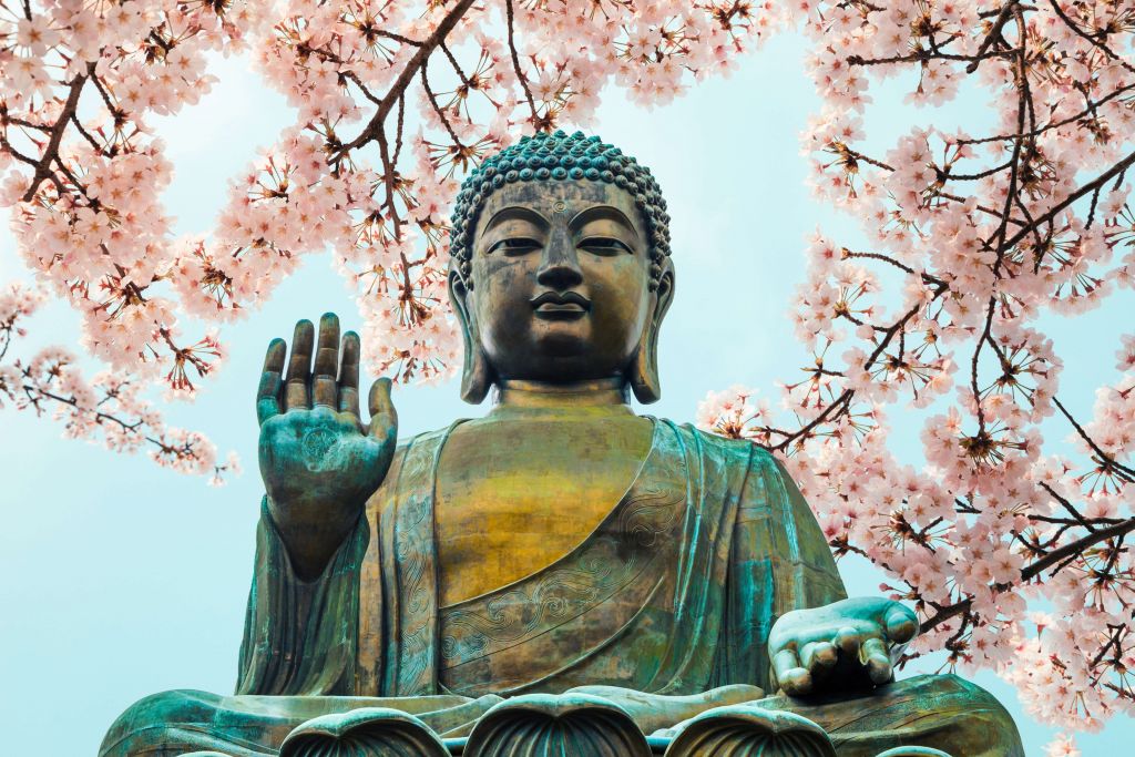 Buddha omringd met kersenbloemen