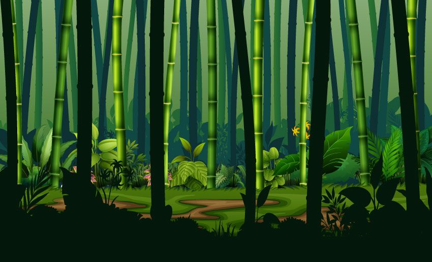 Jungle met bamboe bomen