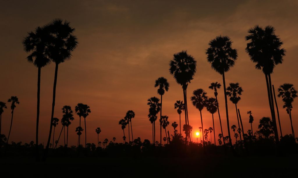 Zonsondergang bij de kokospalmen