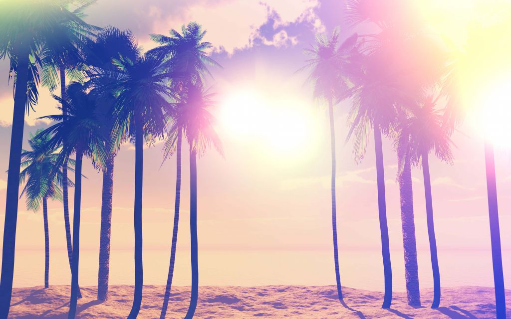 Vintage palmbomen en oceaan