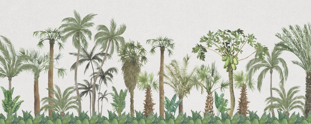 Tropische bomen en planten