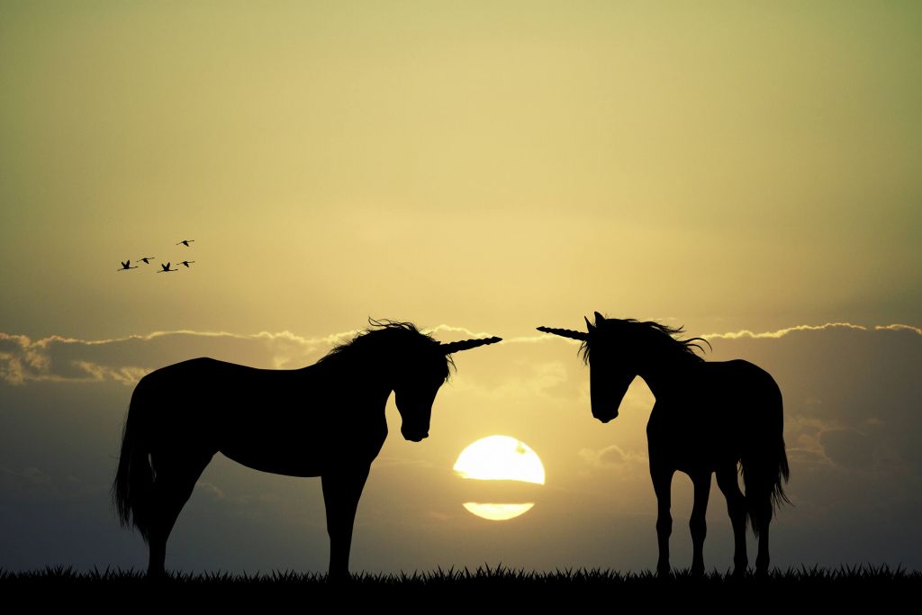 Unicorns bij een zonsondergang