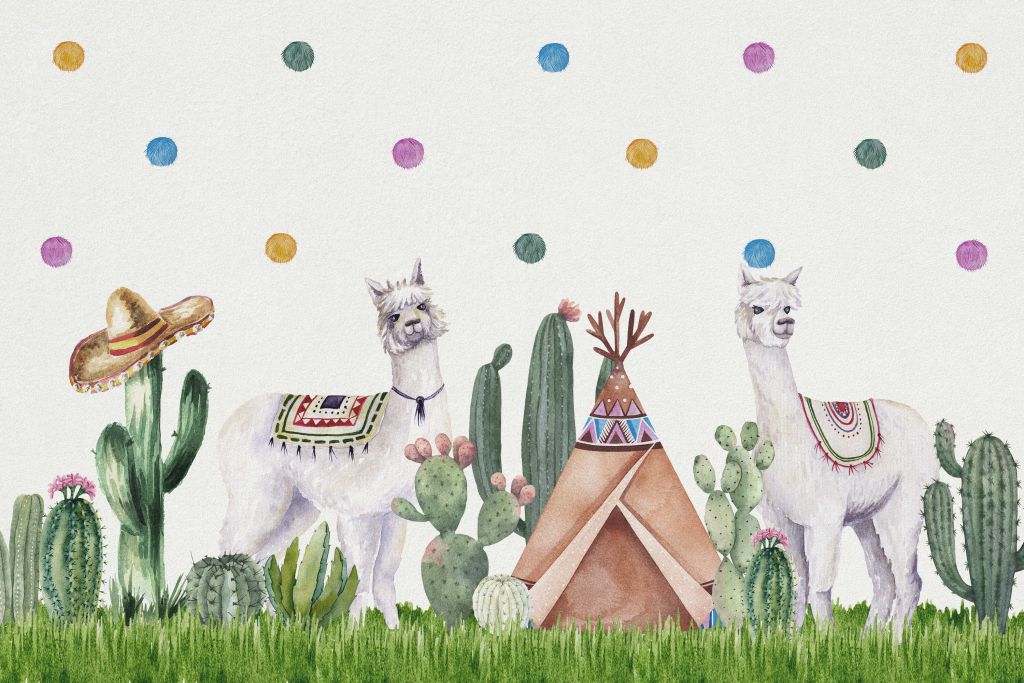 Alpaca's tussen cactussen