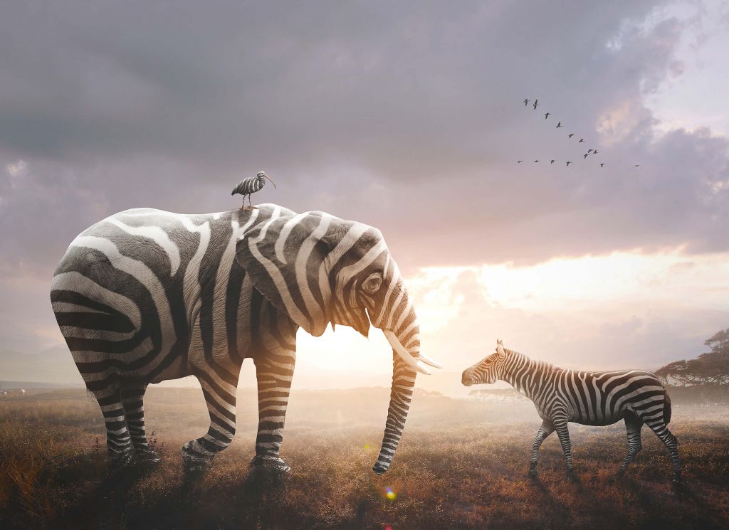 Olifant met zebra strepen