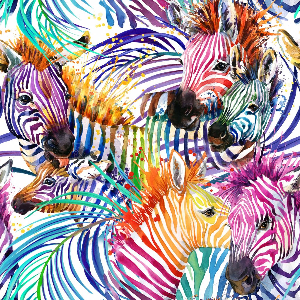 Gekleurde zebra's