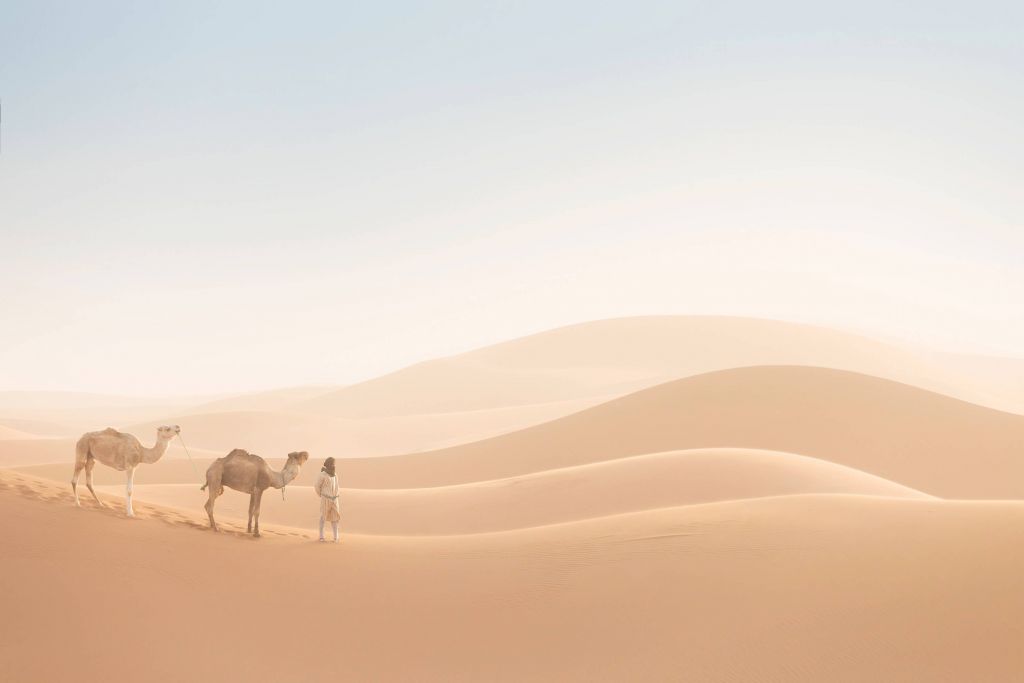 Nomade met zijn kamelen