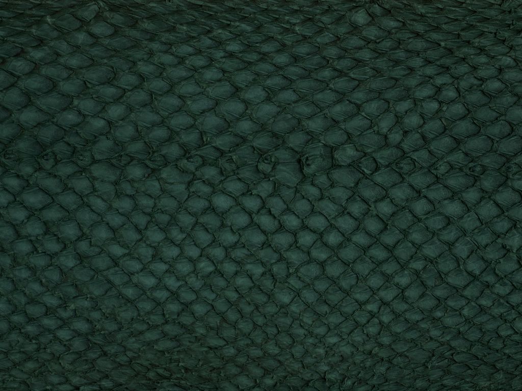 Zalmhuid structuur in groen