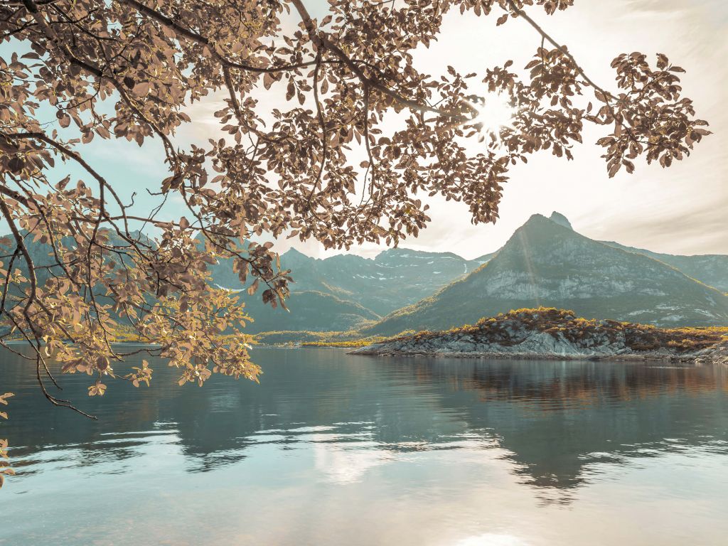 Een Noors fjord
