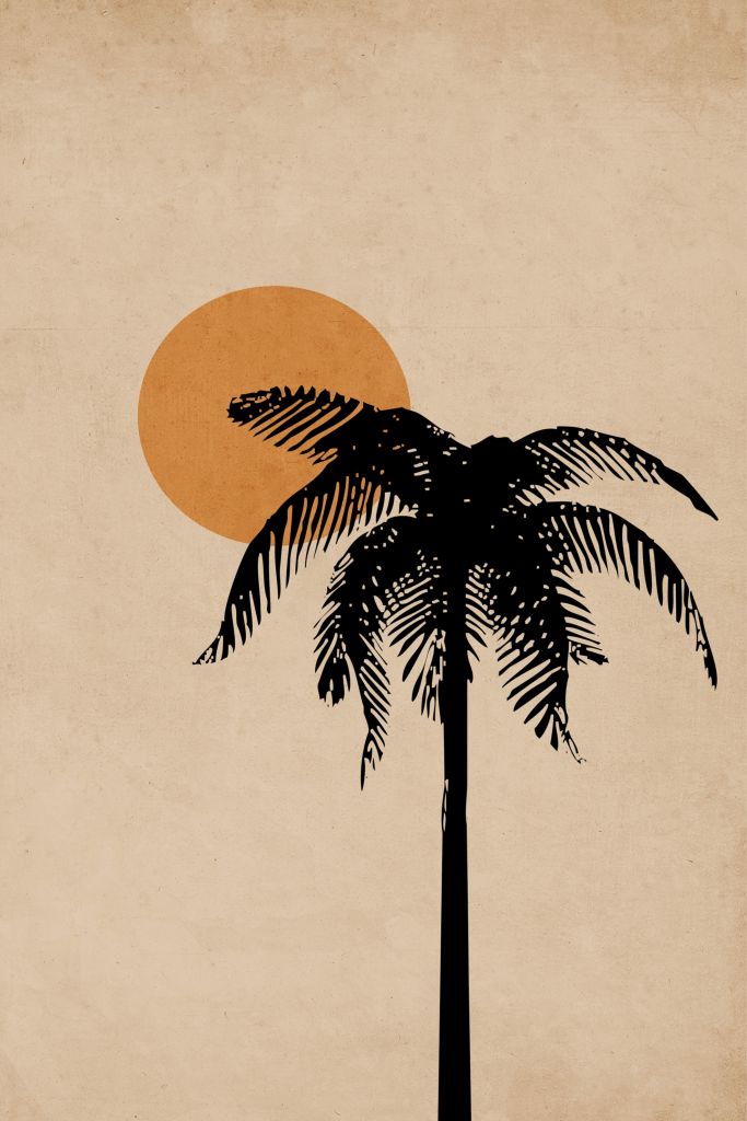 Zwarte palmboom