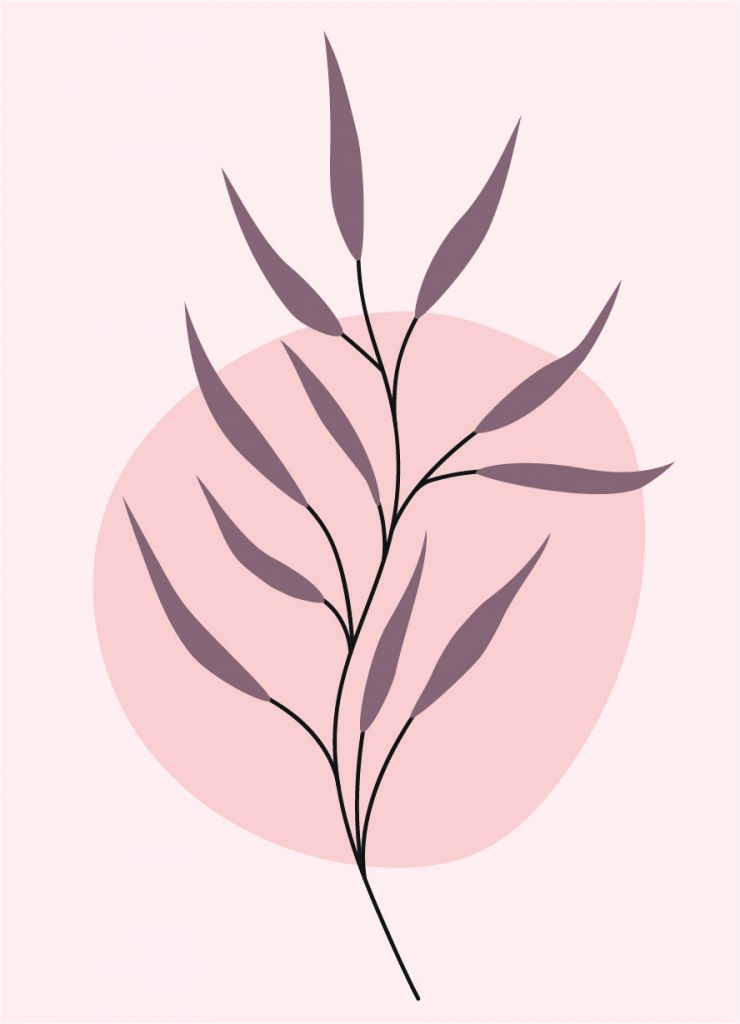 Plant met paarse blaadjes