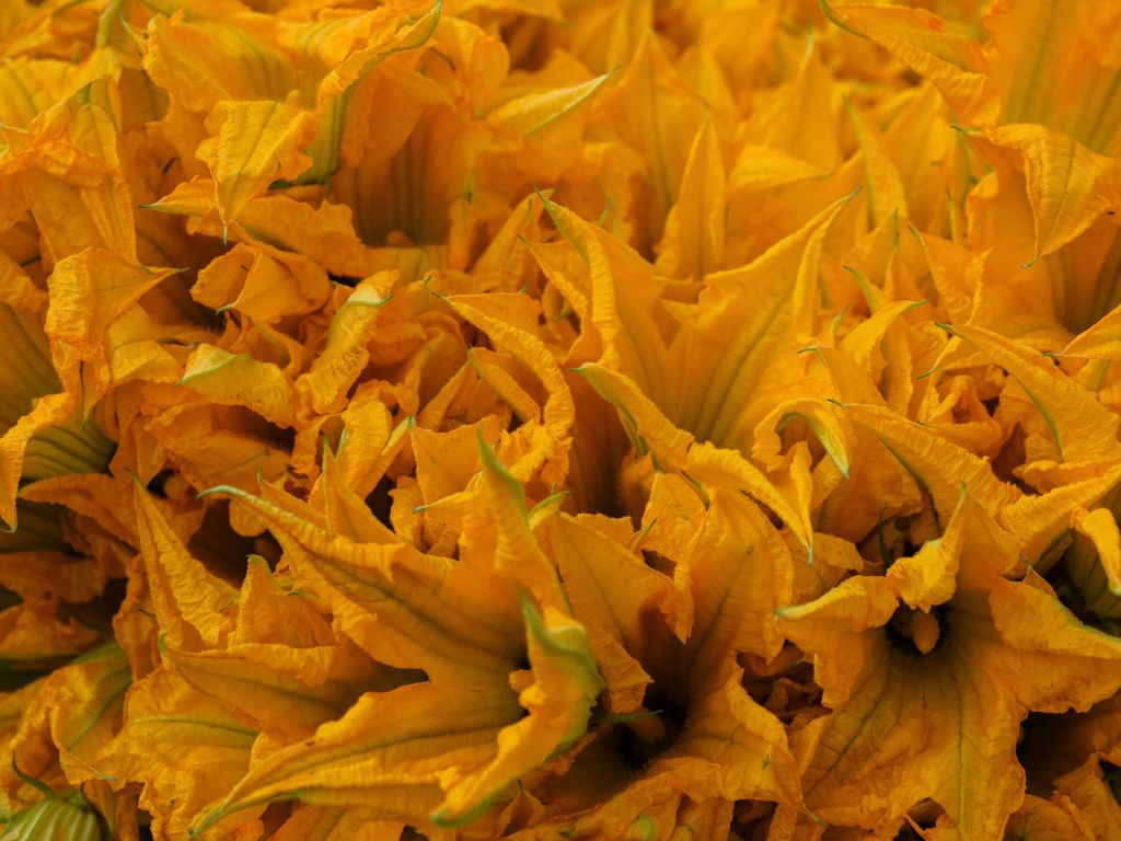 Close-up gele bloemen