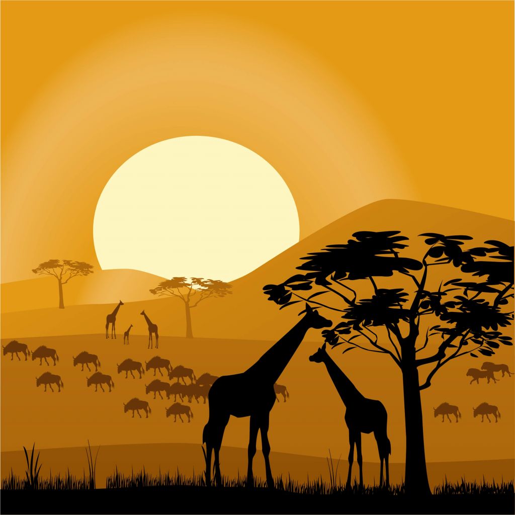 Safari illustratie