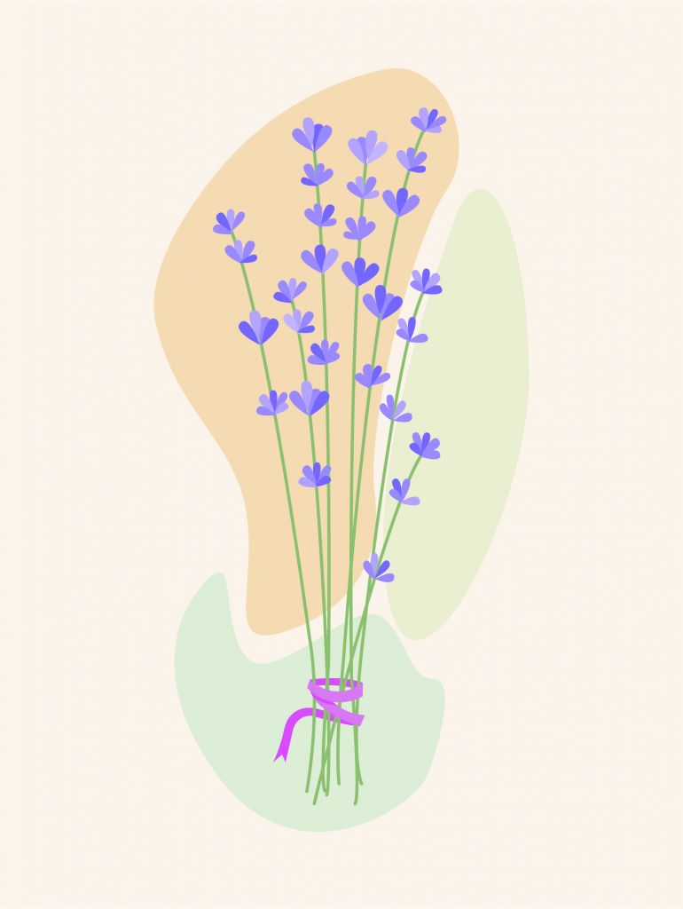 Lavendel illustratie