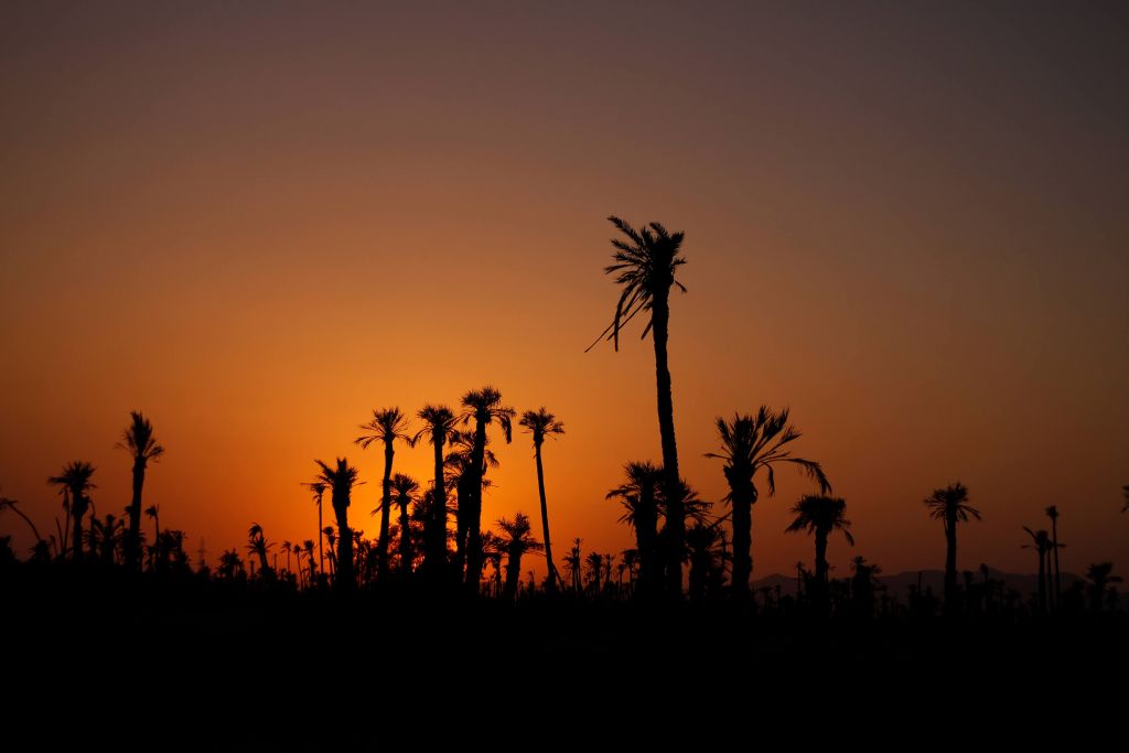 Zonsondergang in Marrakech