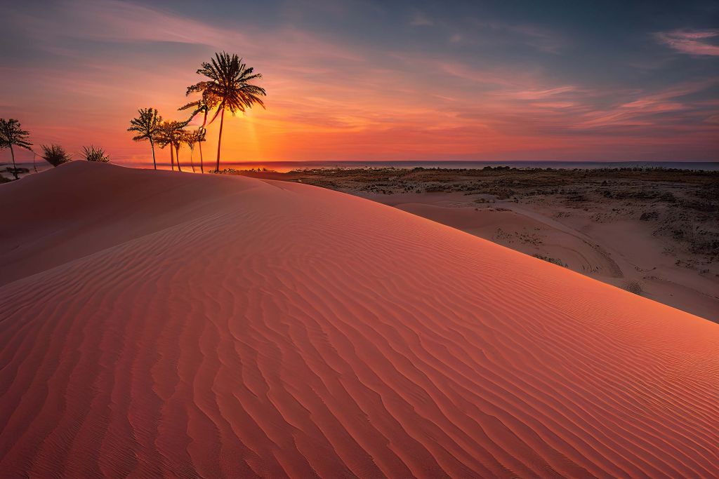Woestijn zandduinen