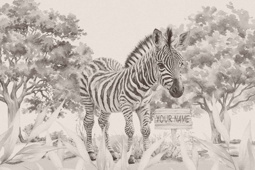 Jonge zebra in de natuur beige