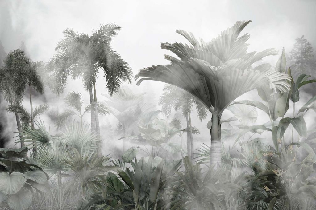 Monochrome Jungle Mist