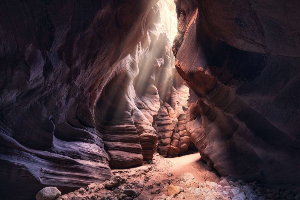 Light in the Canyon
