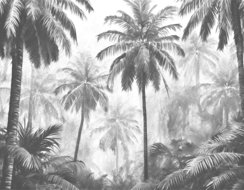 Nevelige Palmwoud