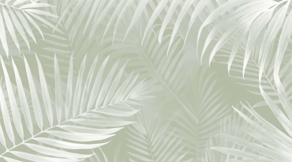 Foggy palm leaves Green